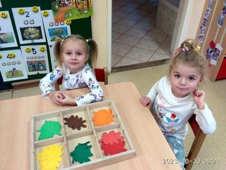 IMG_20231030_082127_HDR